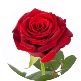 Mindeside for Svend-Erik Wedin