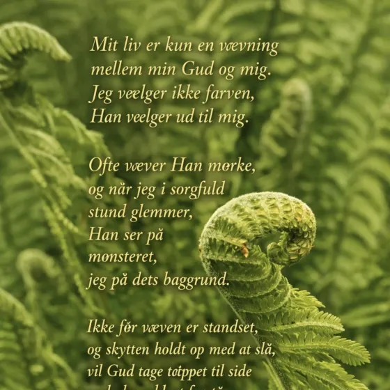 Tekst som min Far har fortalt, dog i udvidet version 