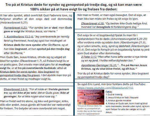 Billede fra Lasse Lund