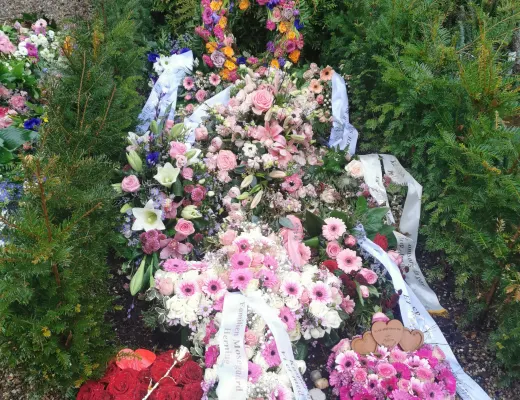 Billede fra Larsson Hanne