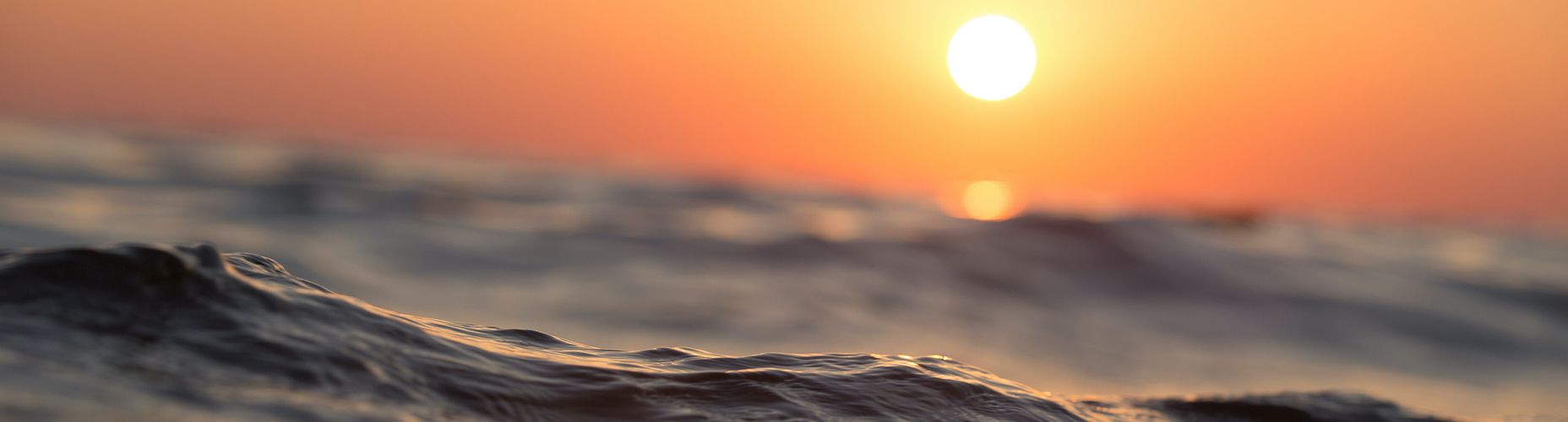 Coverbillede for Tove Kjær Petersen