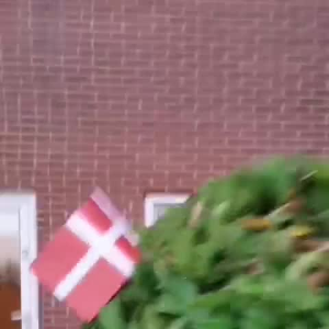 Da vi havde været venner i 25 år, fejrede vi det med at holde 