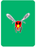 "Hot Shit" Hornet