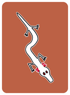 Honorable Olm