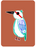 Keen Kingfisher