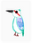 Keen Kingfisher