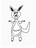Kindred Kangaroo