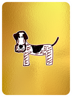 Insightful Irish Terrier