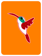 Humble Hummingbird