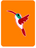 Humble Hummingbird