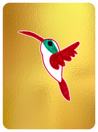 Humble Hummingbird