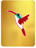 Humble Hummingbird