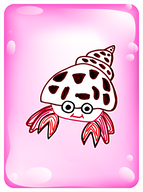 Happy Hermit Crab