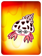 Happy Hermit Crab