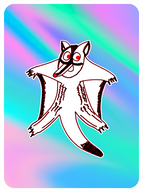 Gleeful Sugar Glider