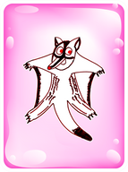 Gleeful Sugar Glider