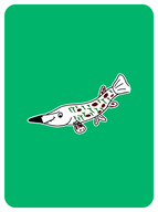 Grateful Gar