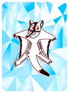 Gleeful Sugar Glider