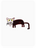 Perceptive Puma