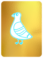 Perspective Pigeon