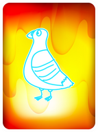 Perspective Pigeon