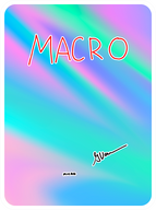 Macro Micro