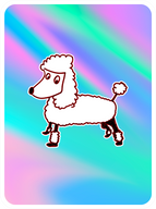 Polished Poodle
