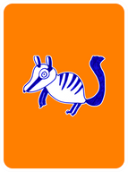 Noble Numbat