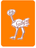 Organized Ostrich