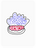 Observant Oyster