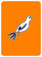 Meticulous Magpie