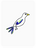 Meticulous Magpie