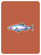 Spiffy Salmon