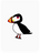 Productive Puffin