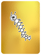 Sensitive Centipede