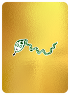 Steadfast Snake