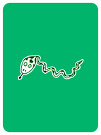 Steadfast Snake