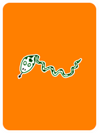 Steadfast Snake