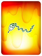 Steadfast Snake