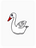 Sweet Swan
