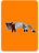Awesome African Civet
