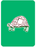 Tolerant Tortoise