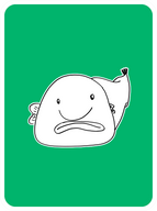 Bashful Blobfish