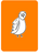 Benevolent Barn Owl