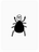 "Turnt" Tick