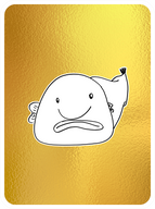 Bashful Blobfish