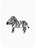 Zestful Zebra