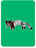 Awesome African Civet