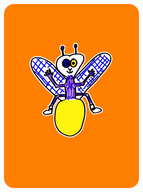 Fly Firefly