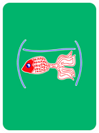 Graceful Goldfish